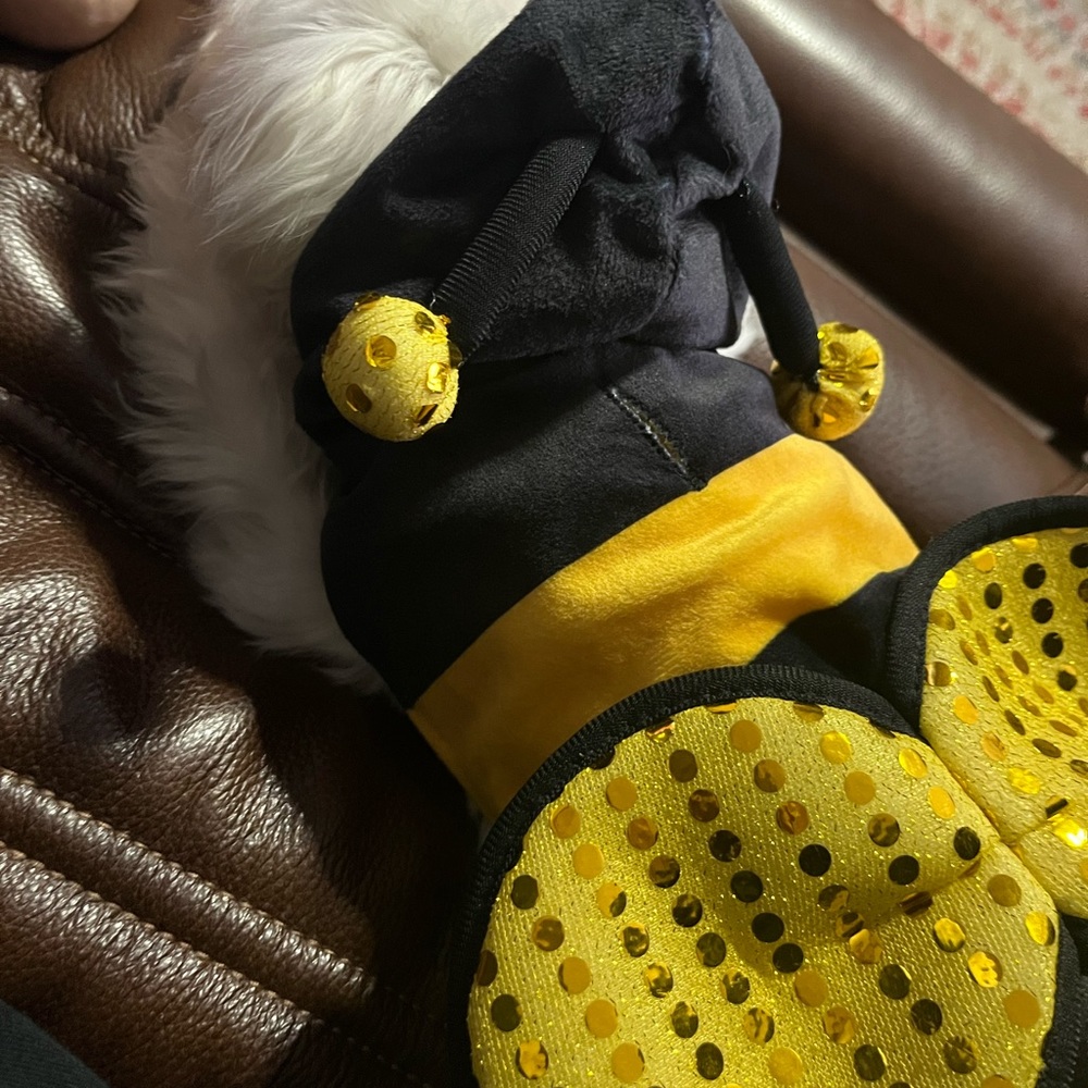 Bumble Bee Pet outfit